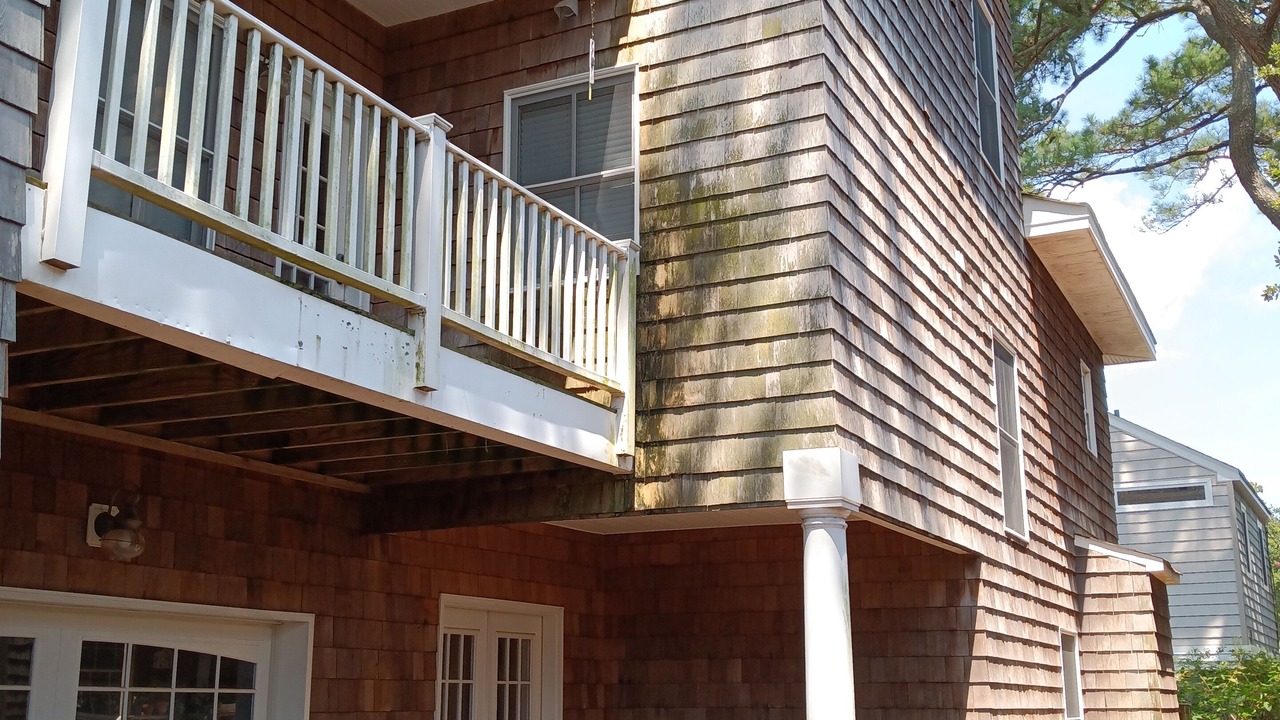Photo of Outdoor in Northeast Virginia Beach