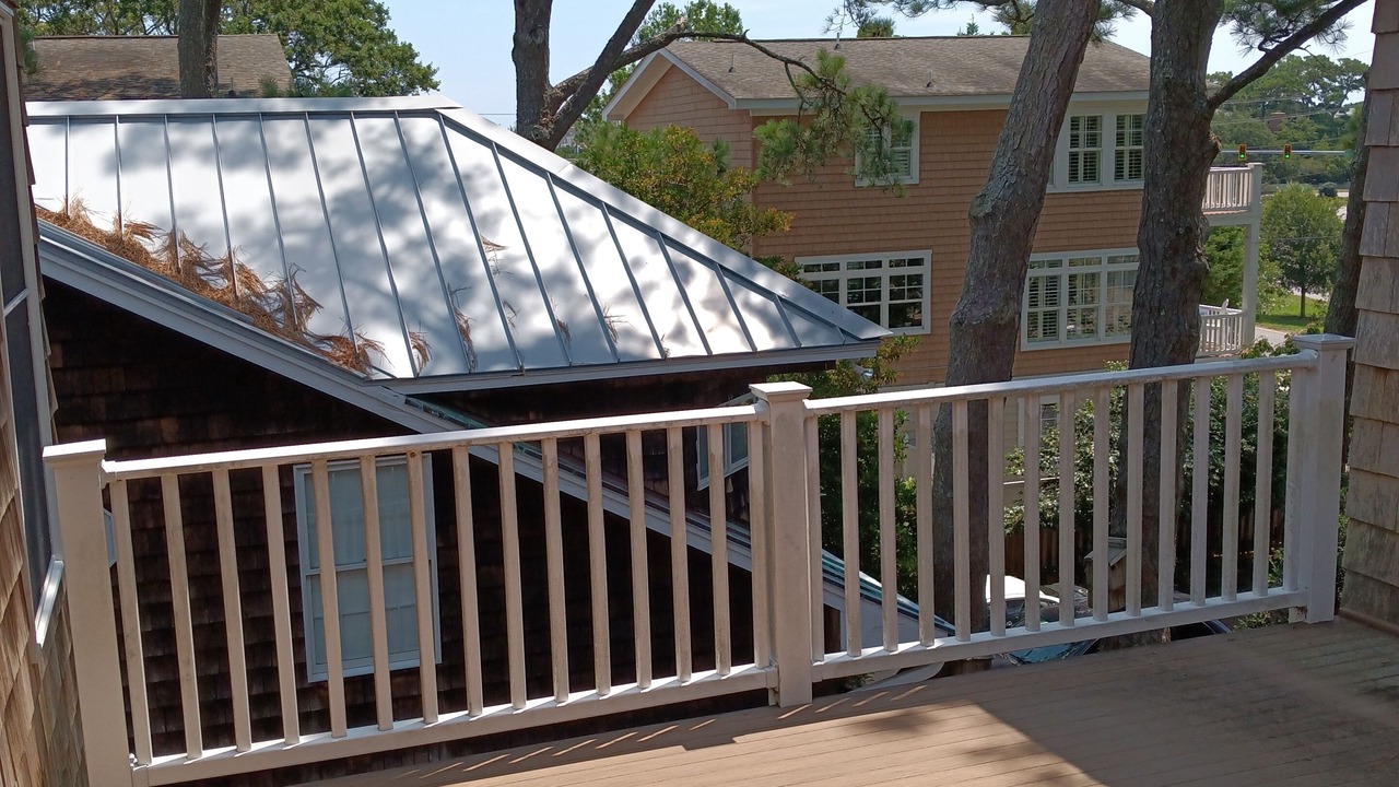 Photo of Outdoor in Northeast Virginia Beach