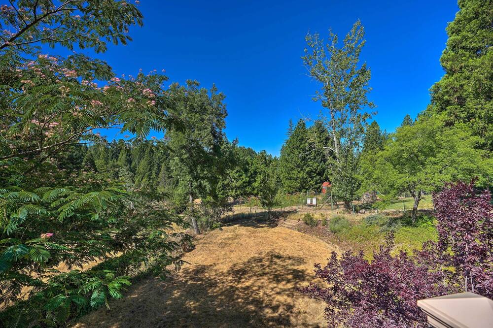 Photo of Others in Apple Hill