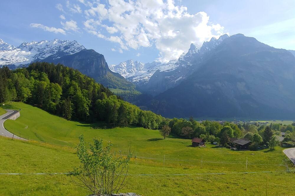 Photo of Outdoor in Wiler