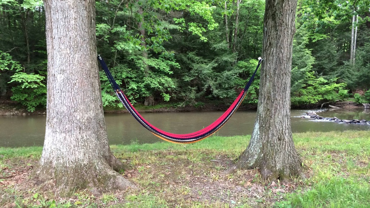 Photo of Outdoor in Port Matilda