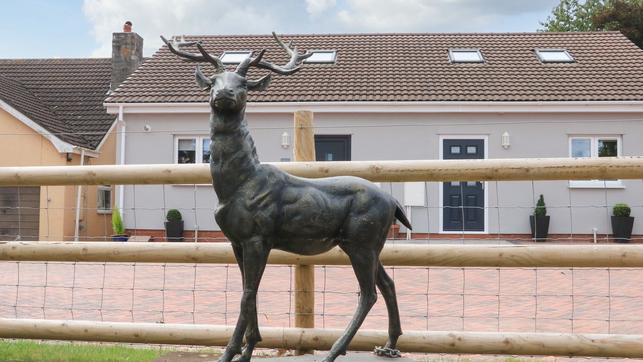 Photo of Outdoor in Dawlish