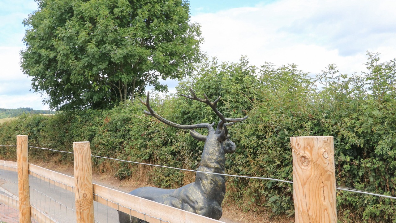 Photo of Outdoor in Dawlish