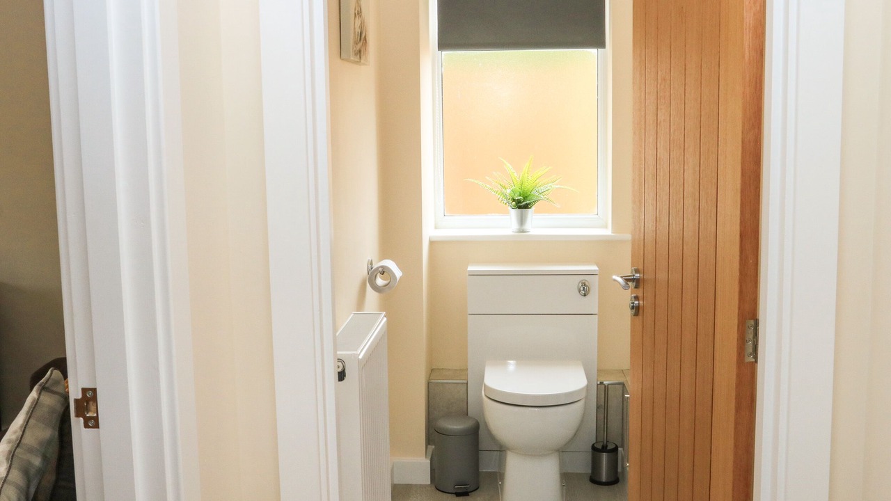 Photo of Others in Dawlish