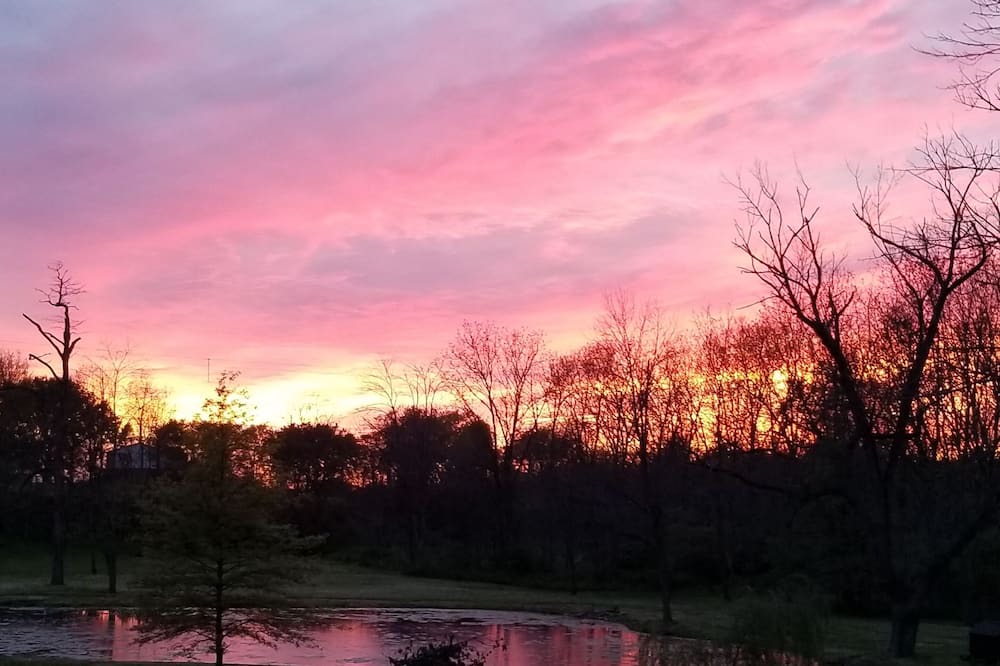 Photo of Outdoor in Bellmore