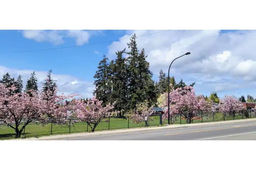 Photo of Others in Kingston