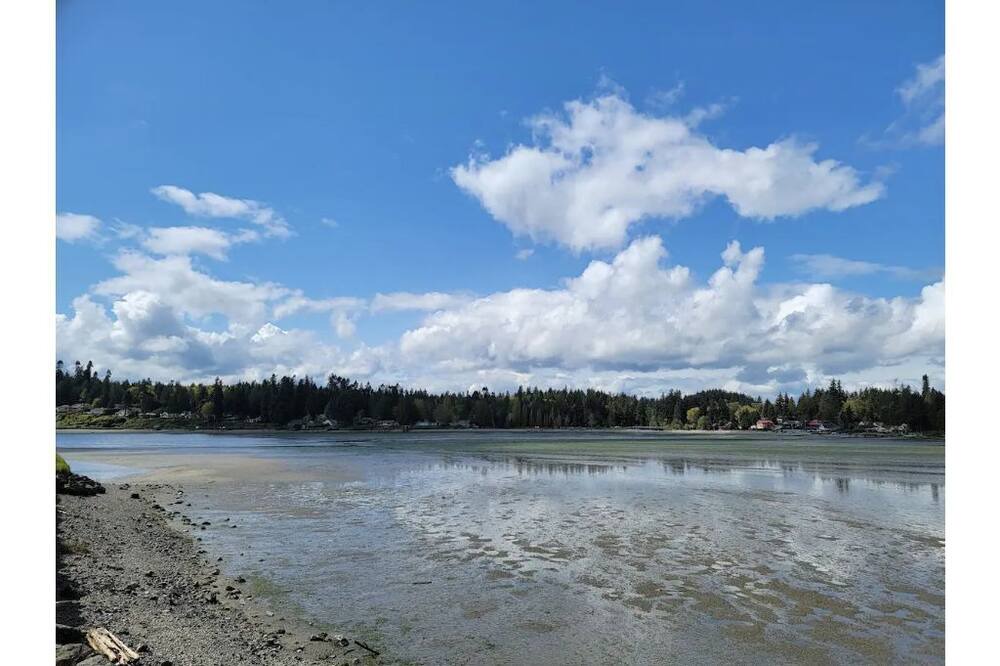 Photo of Others in Kingston