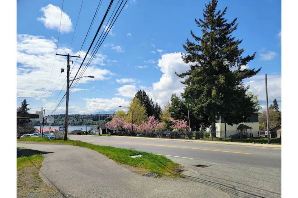 Photo of Others in Kingston