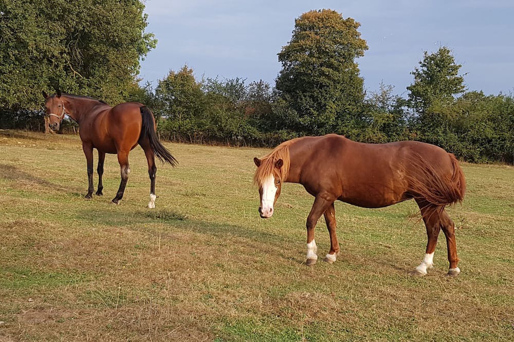 Photo of Others in Vaiges