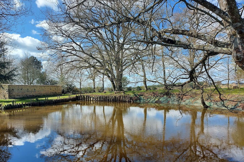 Photo of Others in Vaiges