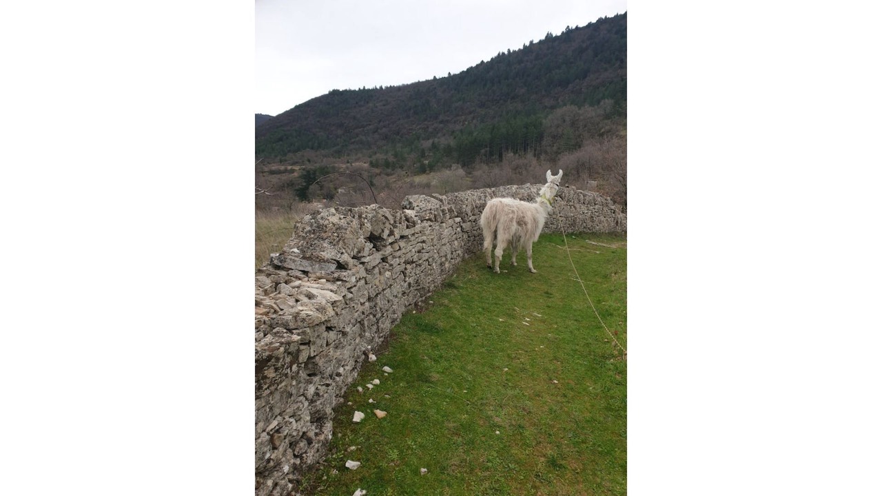 Photo of Others in Arre
