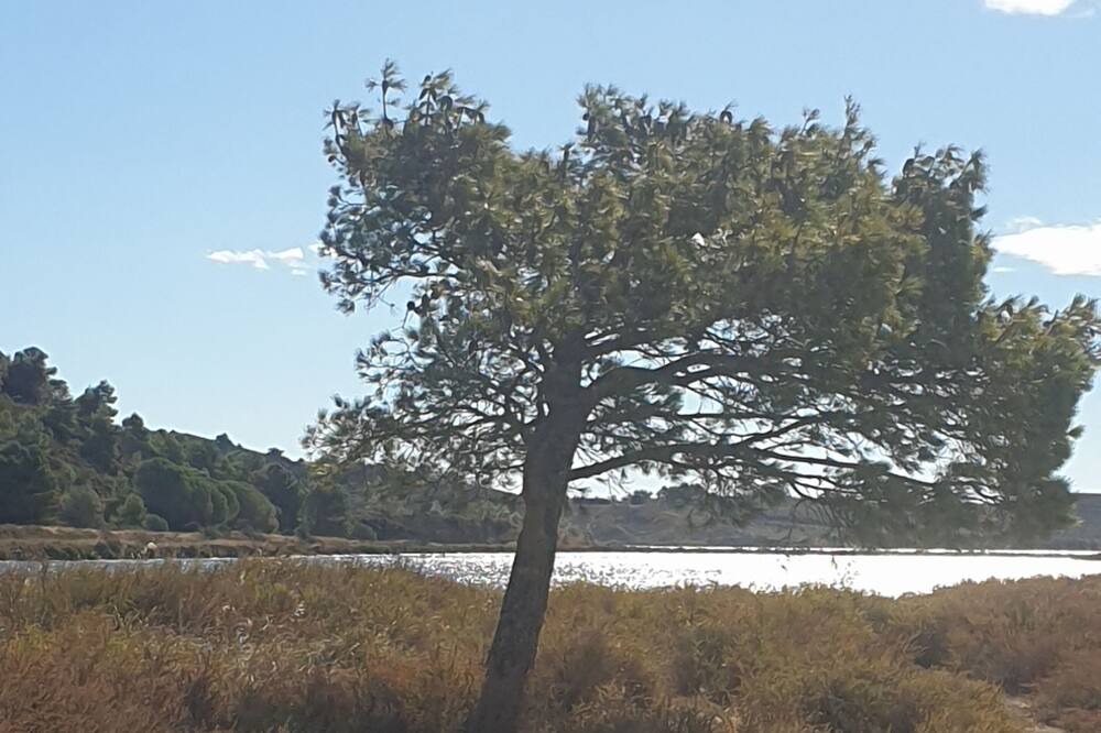 Photo of Outdoor in Peyriac-de-Mer