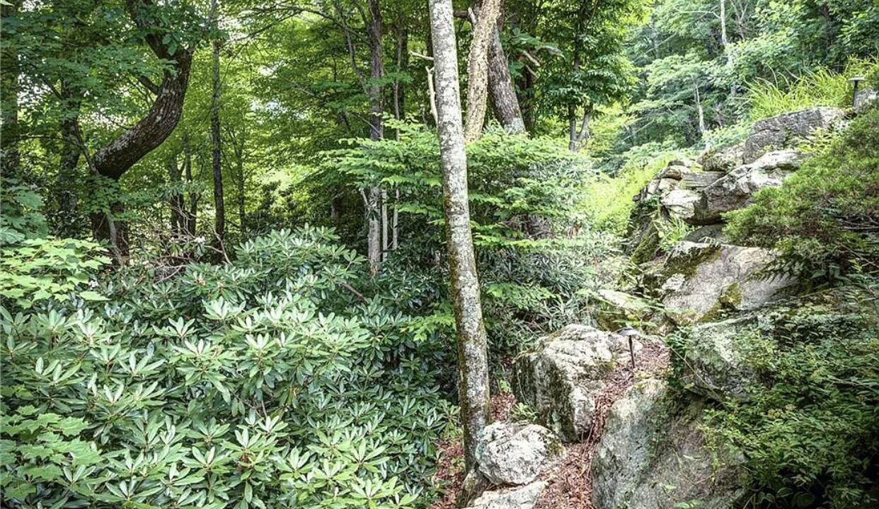 Photo of Outdoor in Blowing Rock