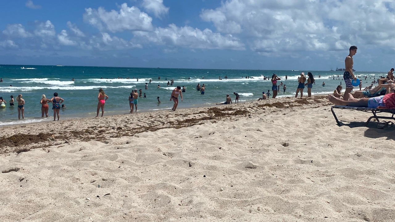 Photo of Others in Barrier Island