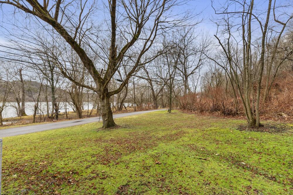 Photo of Outdoor in Parrott