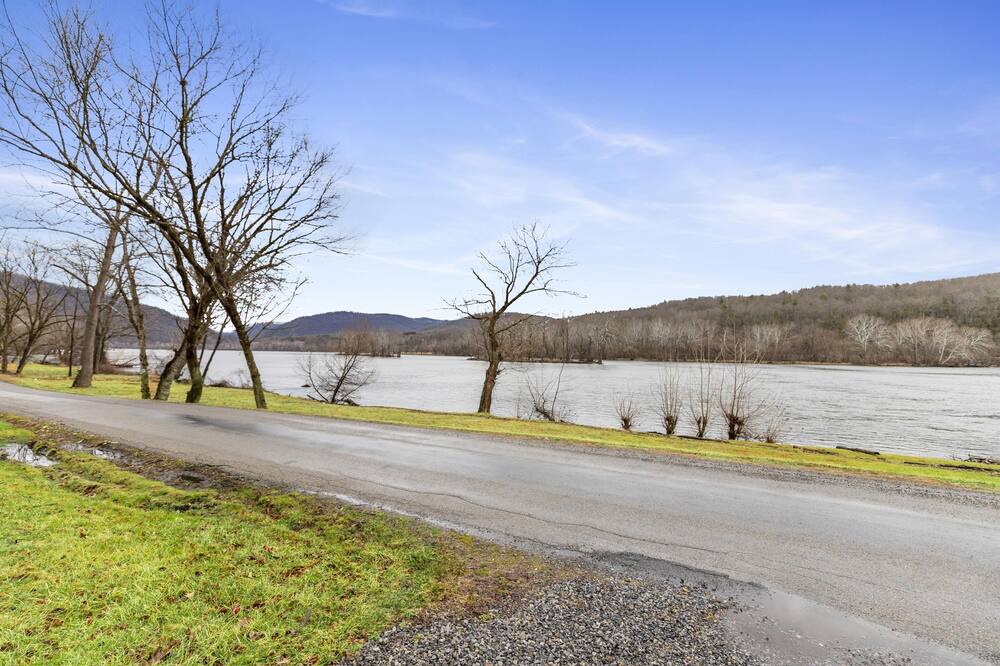 Photo of Others in Parrott