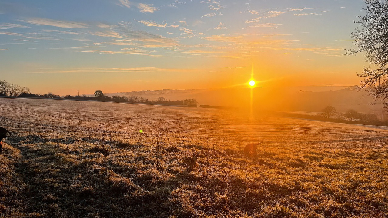 Photo of Others in Tiverton