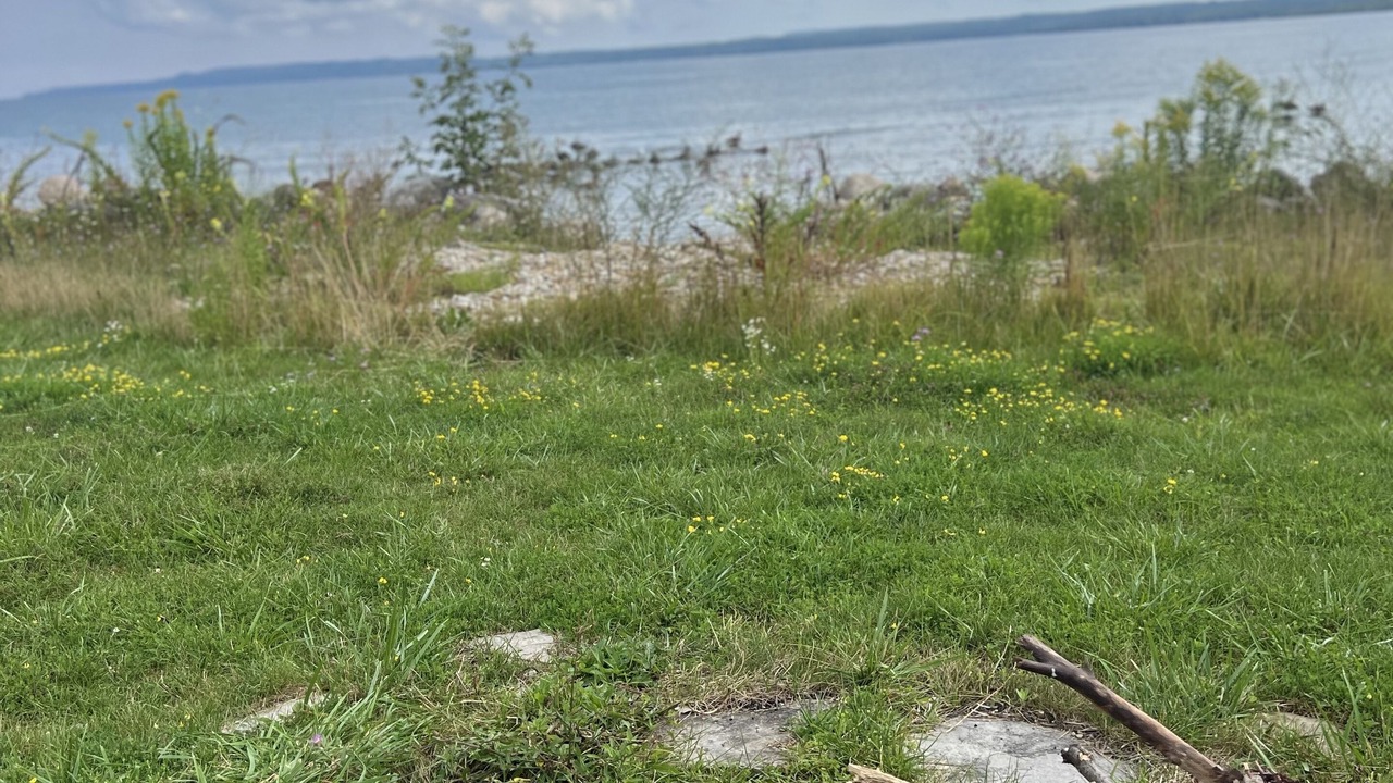 Photo of Others in Owen Sound