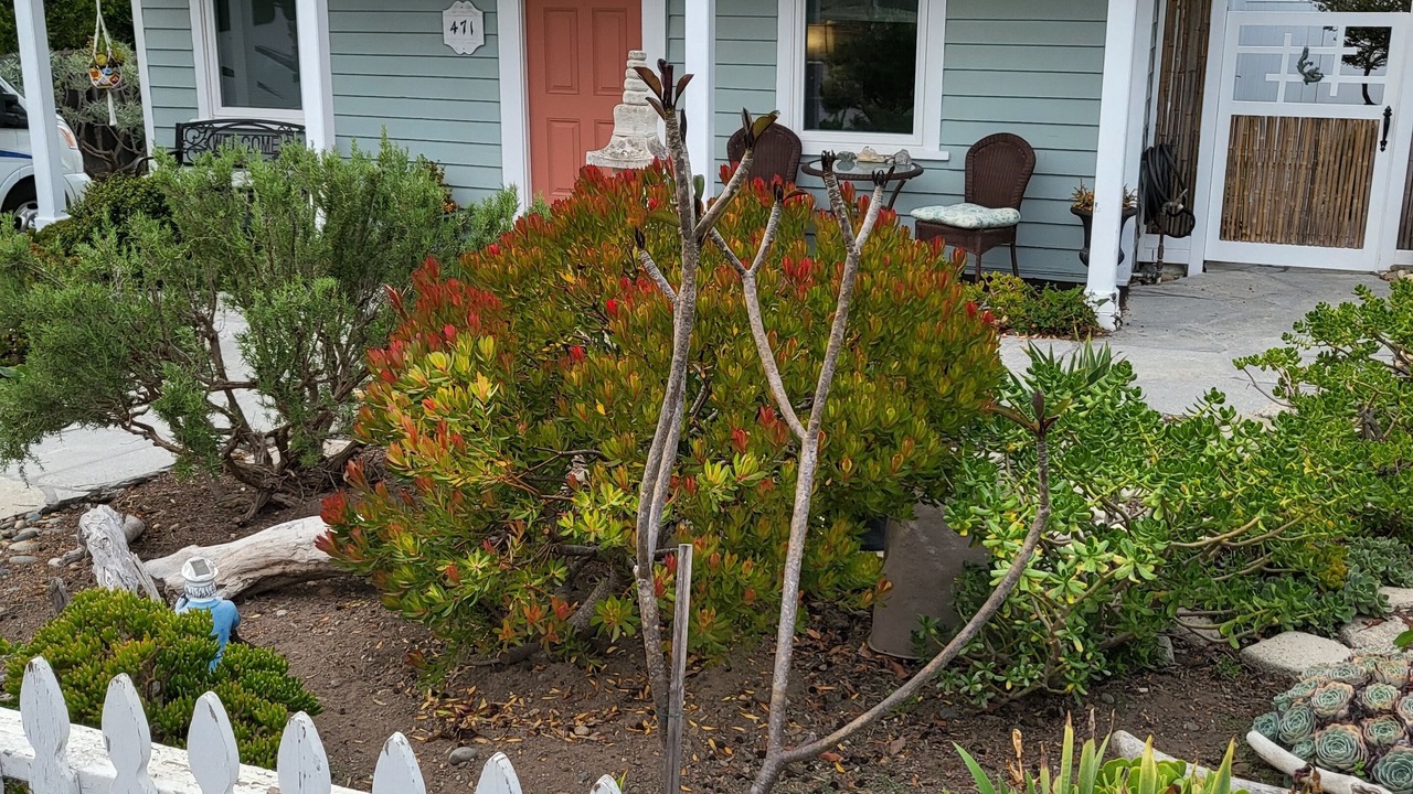 Photo of Outdoor in Park Hill