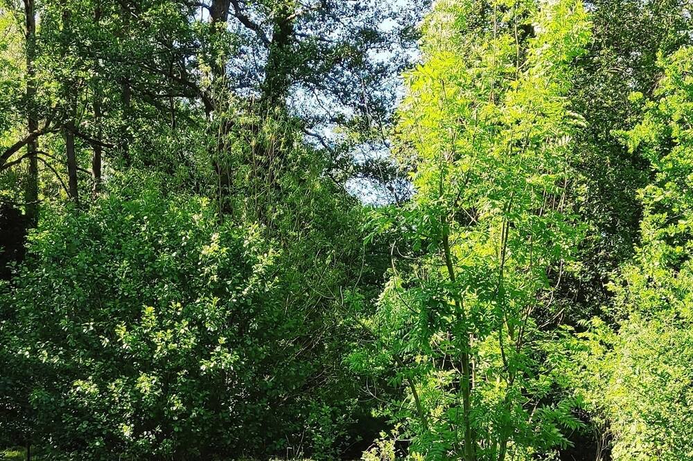 Photo of Outdoor in La Riviere-Saint-Sauveur