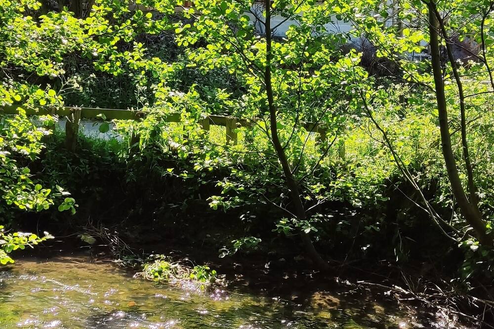 Photo of Outdoor in La Riviere-Saint-Sauveur