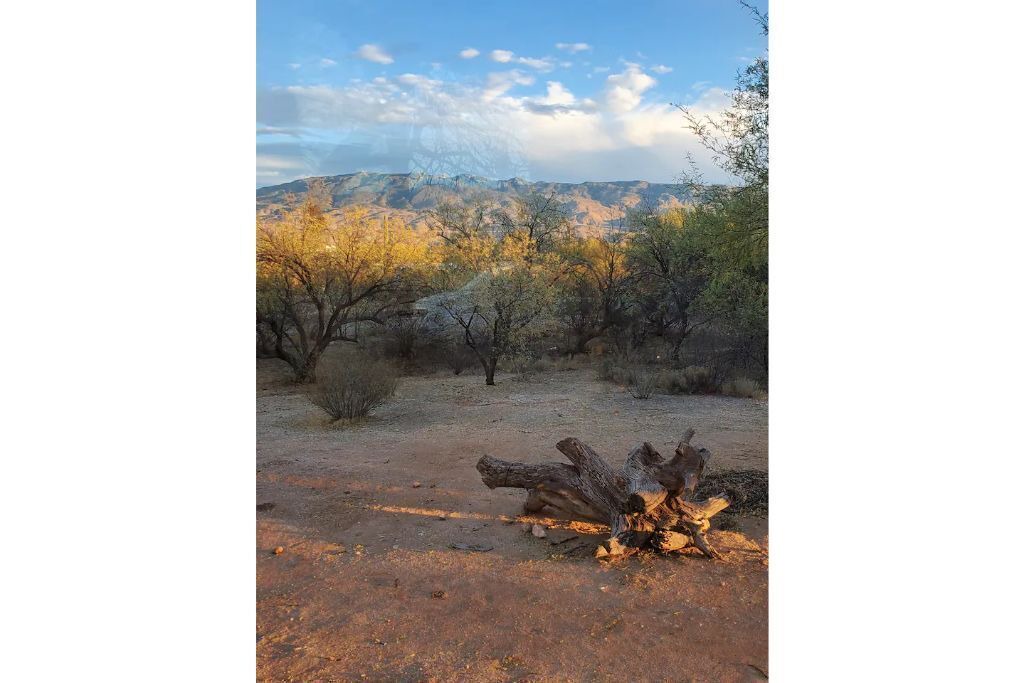 Photo of Outdoor in Bel Air Ranch Estates