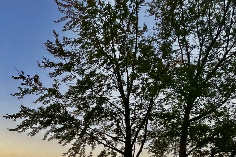Photo of Outdoor in Kalamazoo