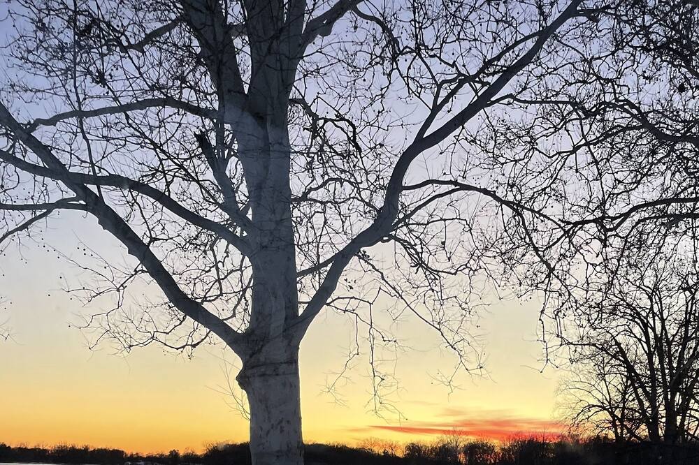 Photo of Outdoor in Kalamazoo