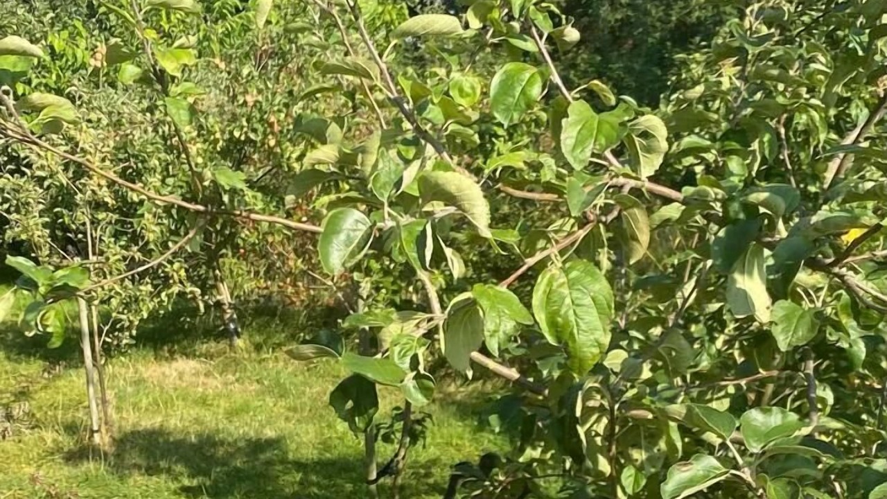 Photo of Outdoor in Thornton-le-Moors