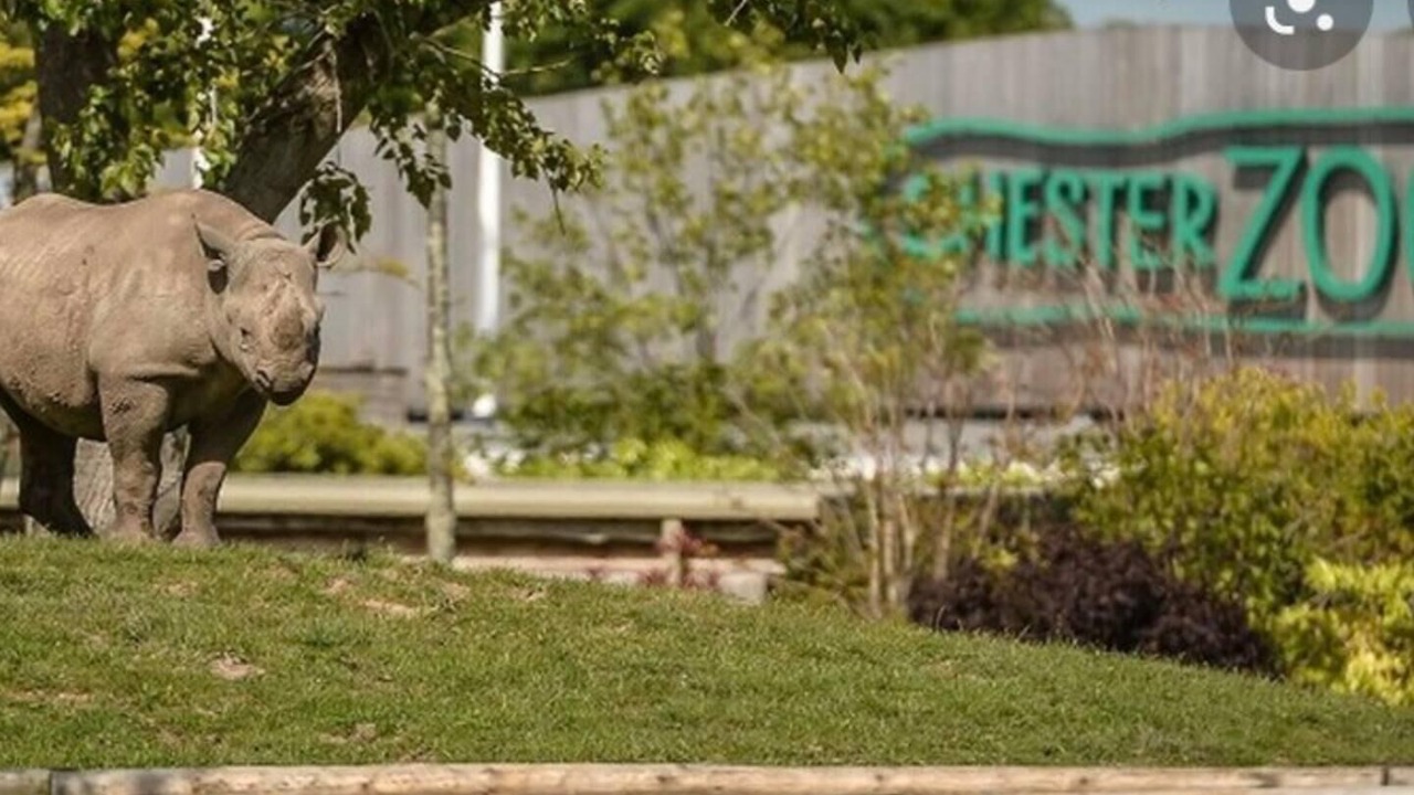 Photo of Outdoor in Thornton-le-Moors