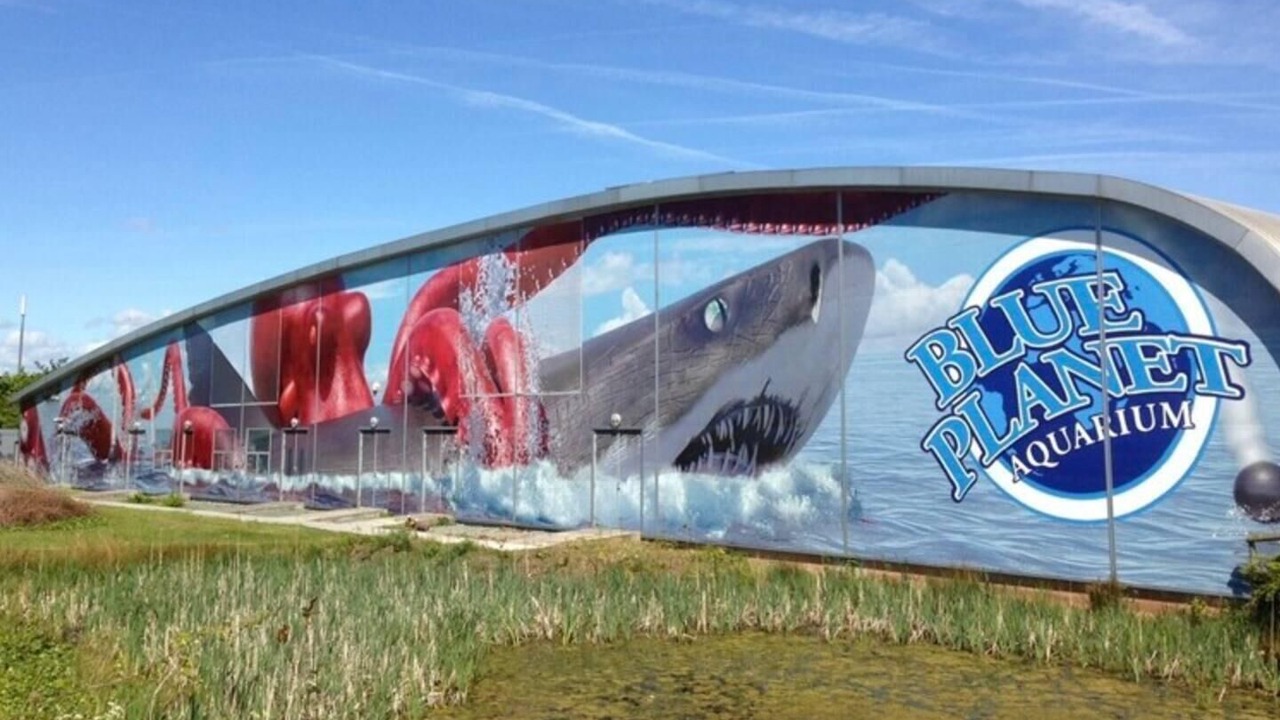 Photo of Outdoor in Thornton-le-Moors