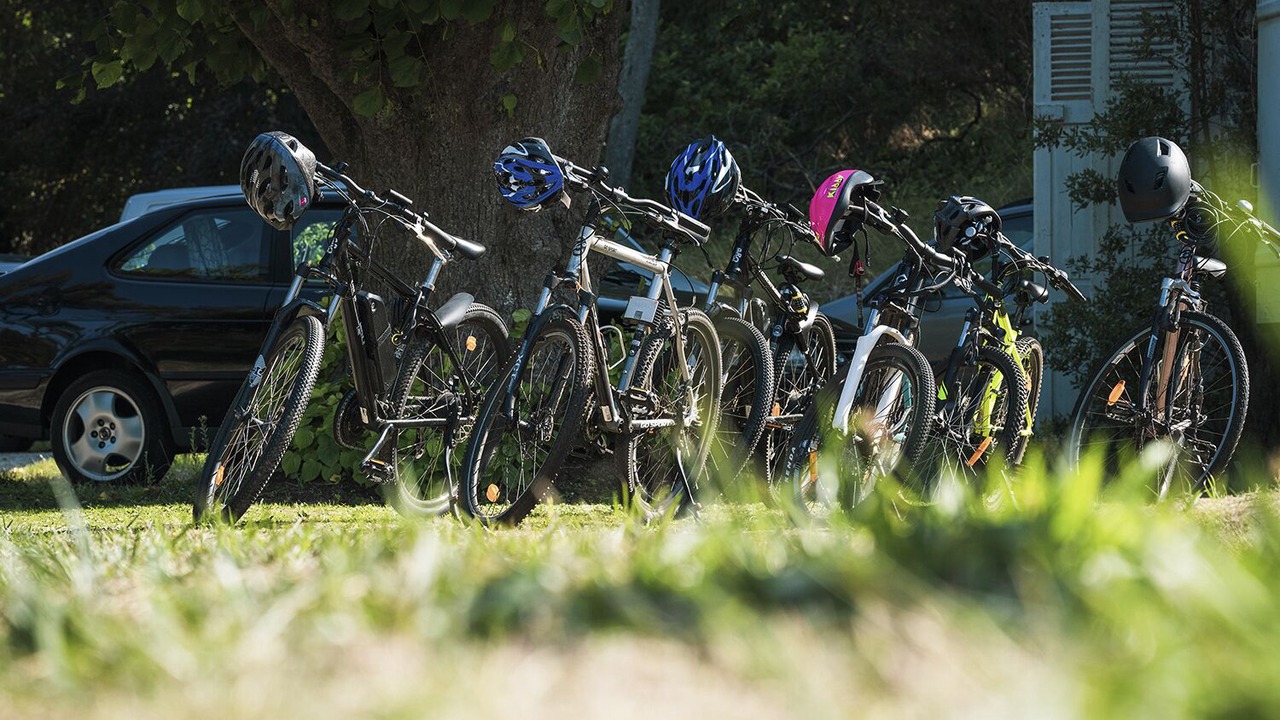 Photo of Outdoor in Saint-Coulomb