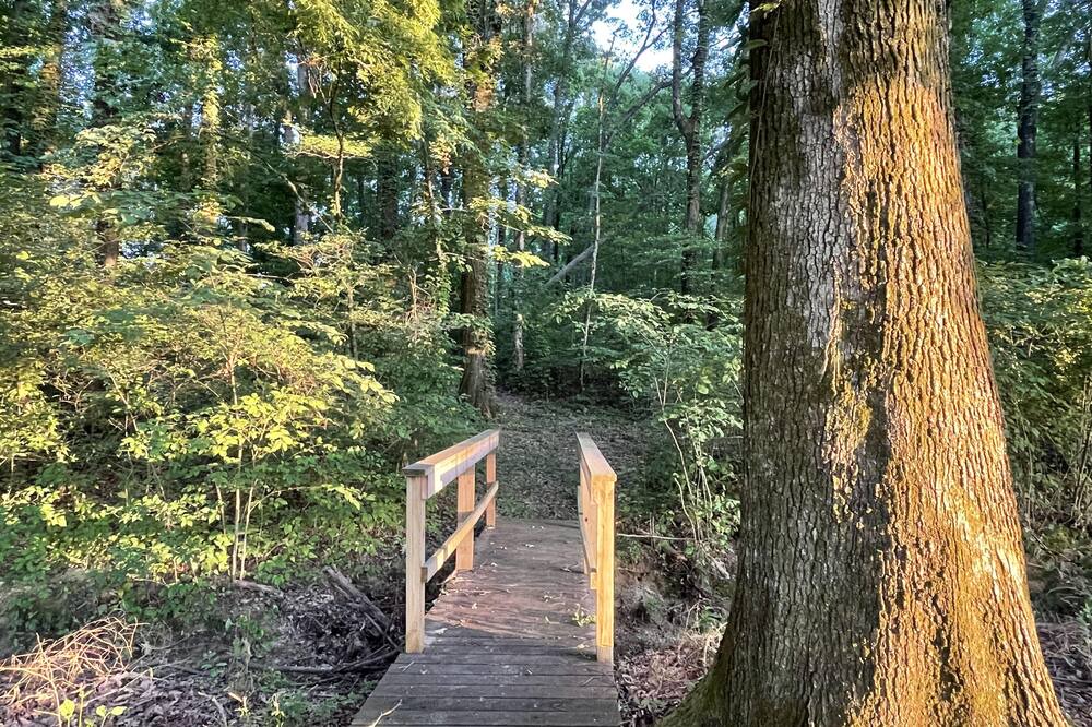 Photo of Outdoor in Millington