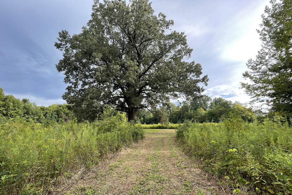 Photo of Outdoor in Millington