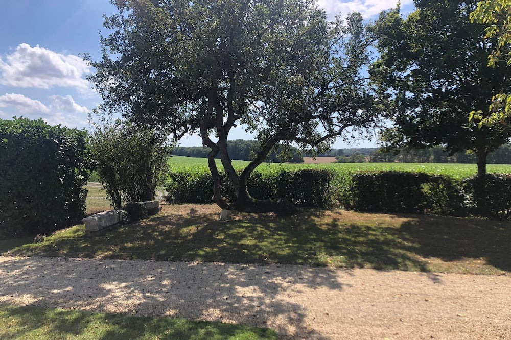 Photo of Outdoor in Savigny-Levescault