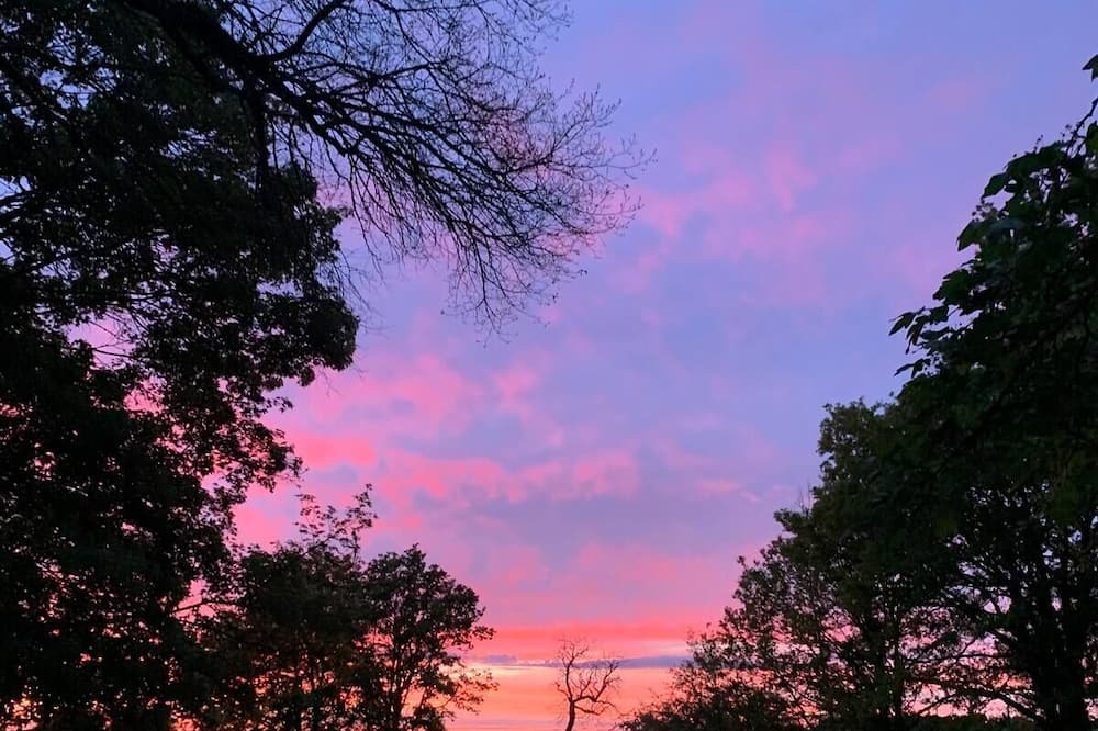 Photo of Outdoor in Savigny-Levescault
