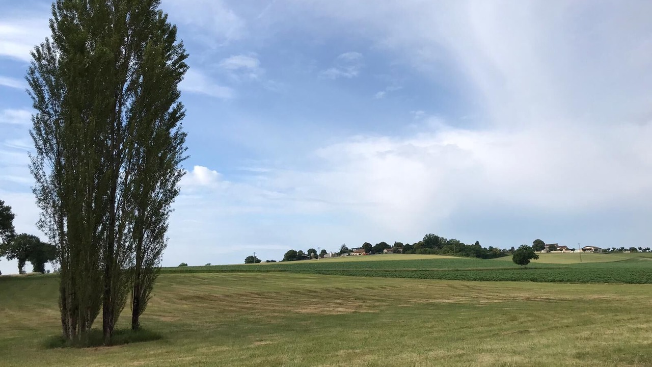 Photo of Others in Bellon