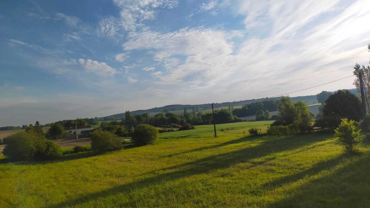 Photo of Others in Bellon