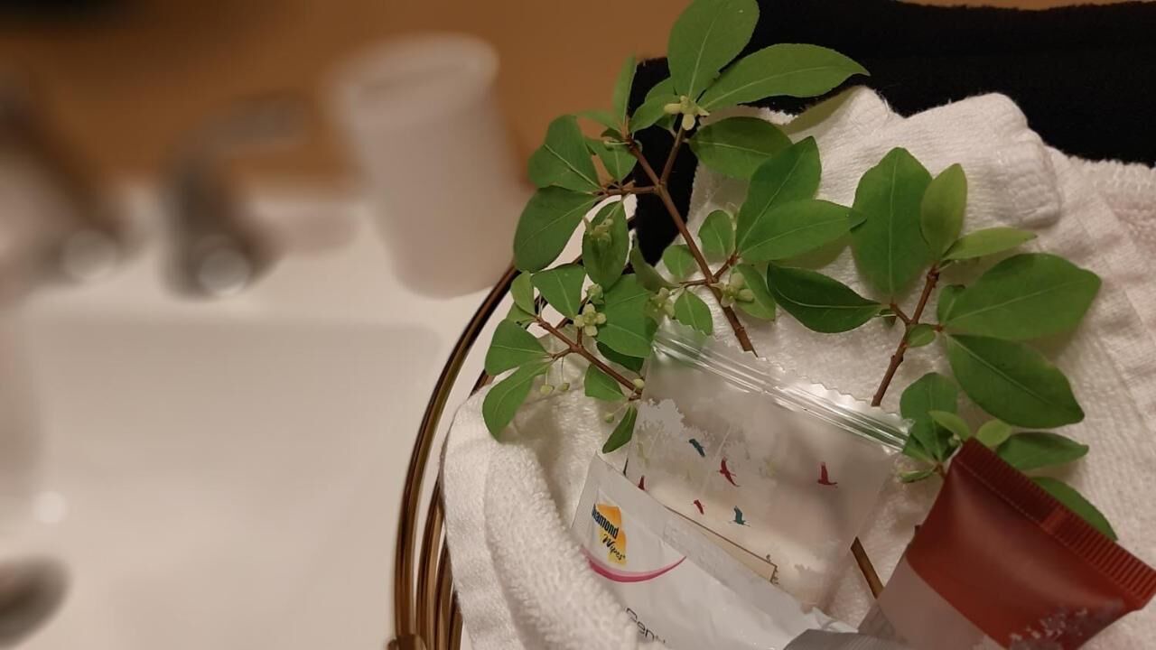 Photo of Bathroom in Gananoque