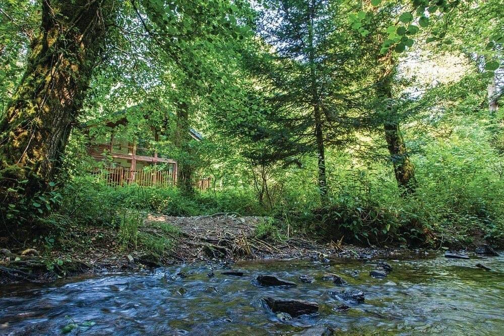 Photo of Others in Herodsfoot