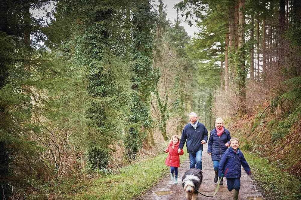 Photo of Others in Herodsfoot