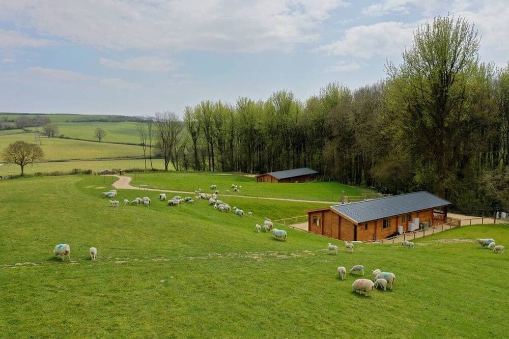 Photo of Others in Crewkerne