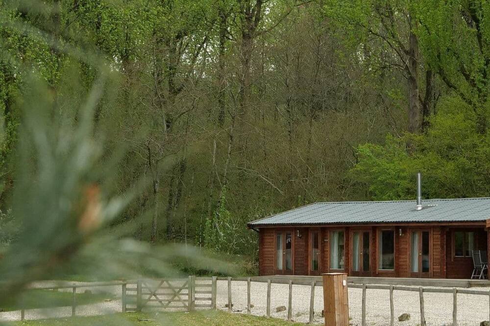 Photo of Others in Crewkerne