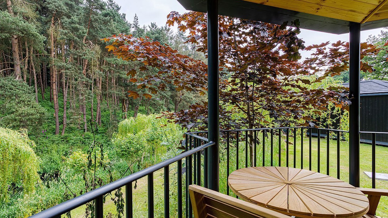 Photo of Outdoor in Felton