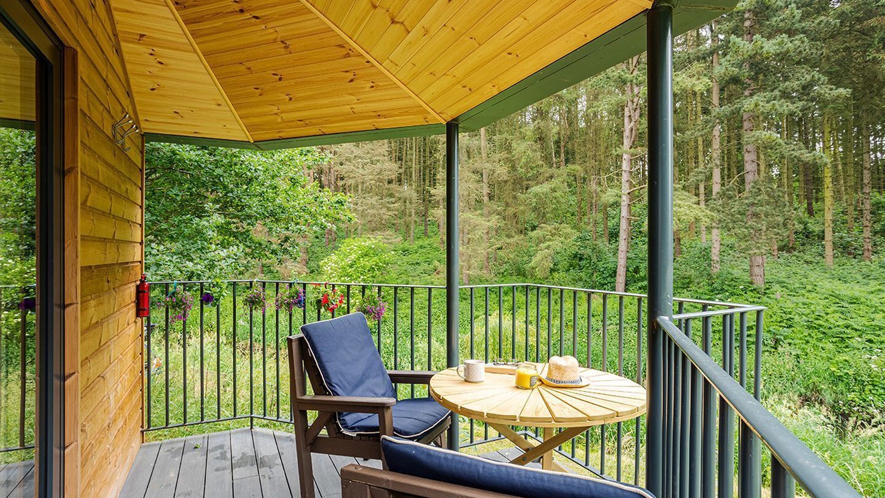 Photo of Outdoor in Felton