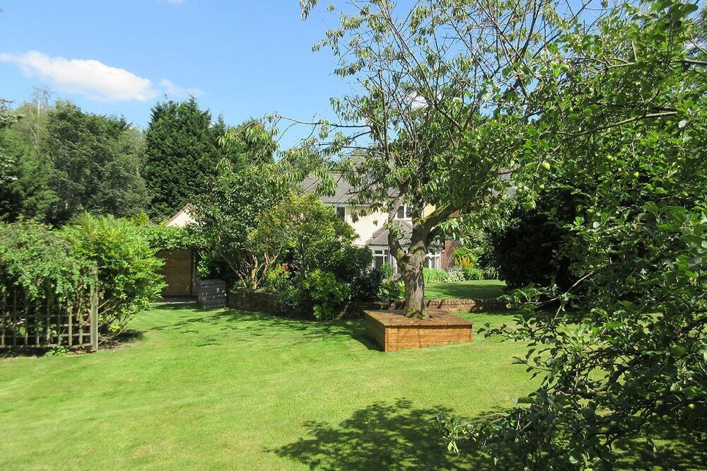 Photo of Outdoor in Rugeley