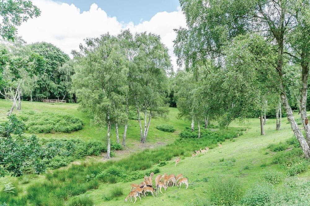 Photo of Others in Rugeley