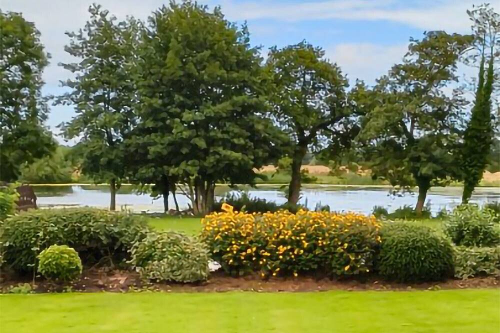 Photo of Outdoor in Sproatley