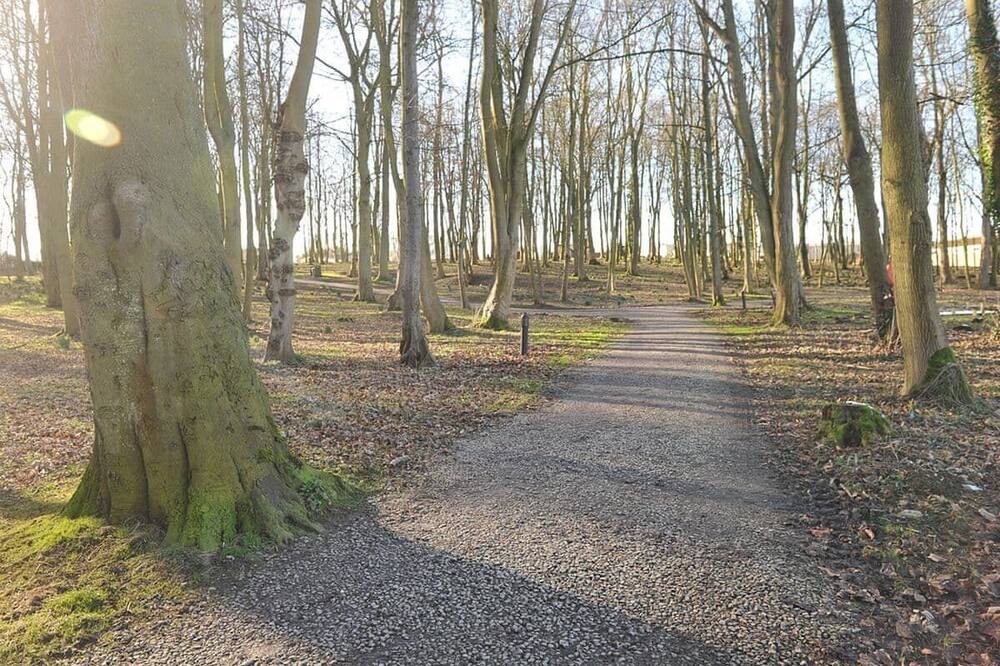 Photo of Others in Sproatley