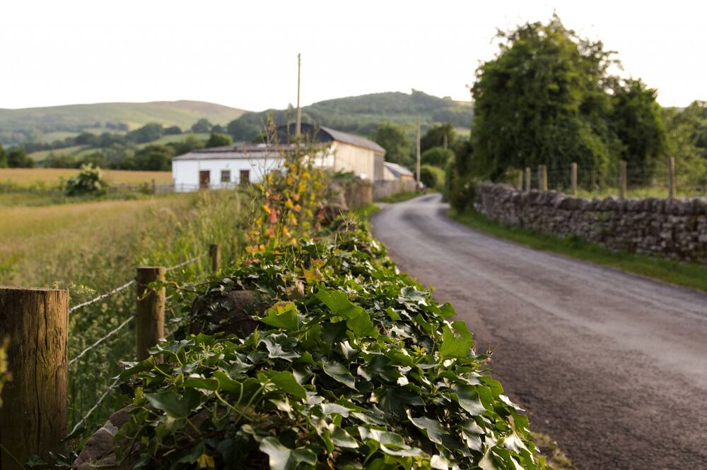 Photo of Others in Talybont-on-Usk